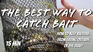 How to catch Bait with a minnow trap! Cheap and easy method- Mud-Minnows & Killies in 20 min!