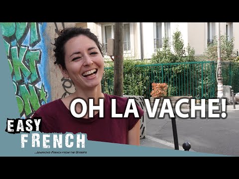 Bizarre French Animal Related Idioms | Super Easy French 78