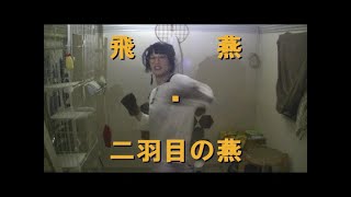 【はじめの一歩】飛燕、燕返し【独自解説！】