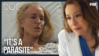 show video image in three sizes