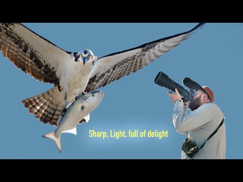 Falling in Love with the Nikkor Z 400mm F4.5