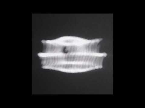 08. grayera - distance [10.04.2016]