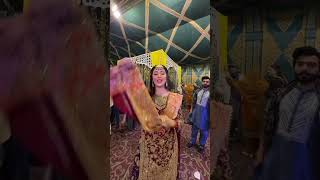 Download lagu chitta kukkar ♥️ yeh do kalay kukkar kia krhe h ?😂 mp3 Download lagu chitta kukkar ♥️ yeh do kalay kukkar kia krhe h ?😂 mp3