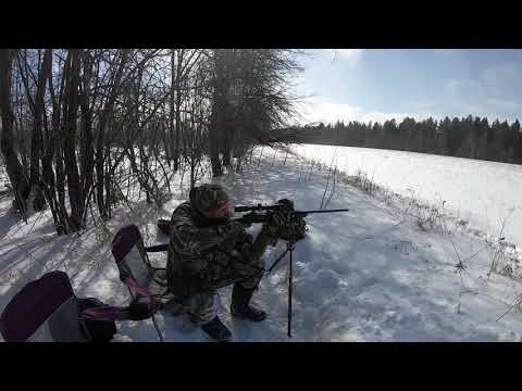 Hunting Rifle: Browning AB3: Bolt-Action Rifle - .308 win (IN ACTION)