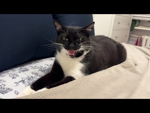 YouTube 썸네일