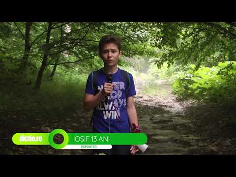 IOSIF CHITESCU - În cât timp se descompun gunoaiele lăsate în natură de turiști