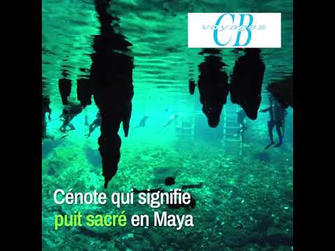 Voyage de groupe au Mexique