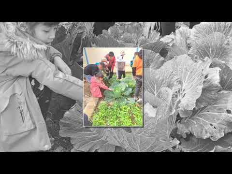 Mái trường em yêu