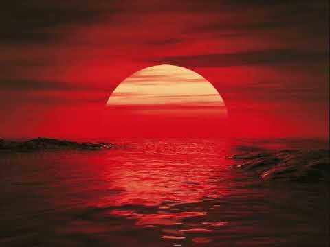 Die Seer Leb Dei Leb'n