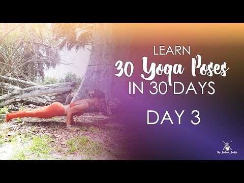 Day 3 - Chaturanga Dandasana - 30 Pose Journey