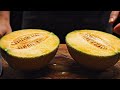 Satisfying Melon And Watermelon Fruit Slicing Cinematic 4K ASMR