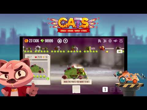 Best Tips for Every CATS Beginners