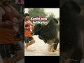 KARTHI NEW MOVIE EDIT Meiyalagan 4k Jallikattu Festival Viralvideo Shorts Patel Onsale