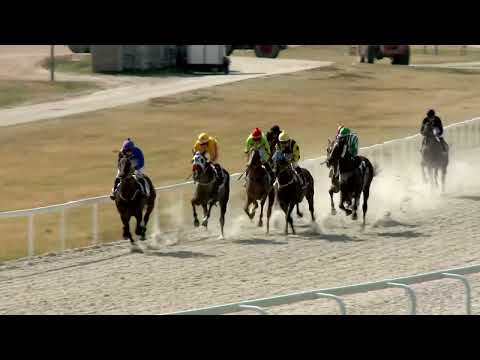 2022.08.14. 04. futam - MÁGNÁS DÍJ (V.kat.) (szintetikus pálya)