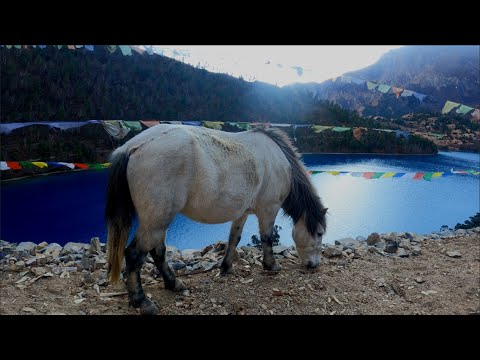 Shey Phoksundo, Dolpo - A place that will change your life forever- Gypsy Walk
