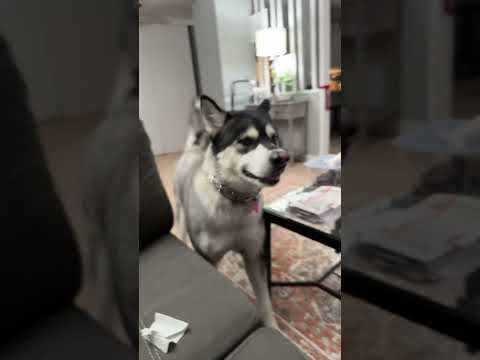 Trying to getting on me