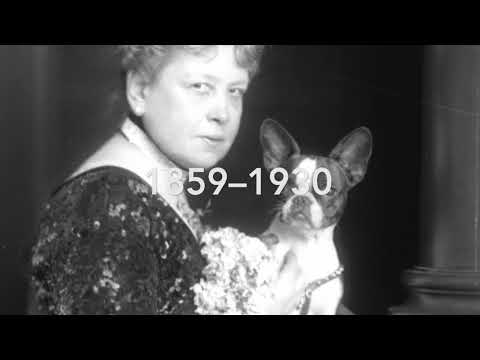 ANNA-SACHER-artivive