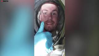 20,000 bees removed from family home by hoover