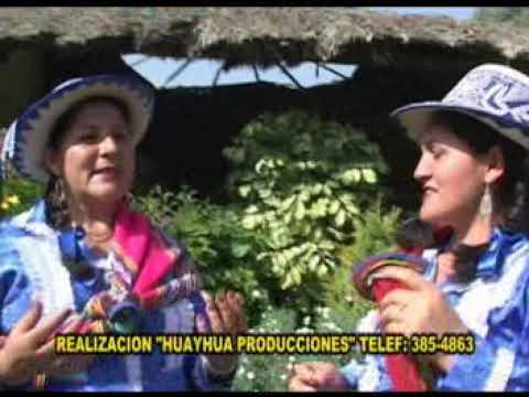 Corazon Herido - Duo Clavelina