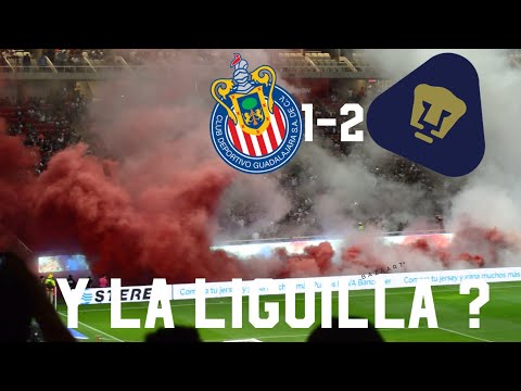 "ROMPEN LA MALDICIÓN!!!! chivas vs pumas 1-2 recibimiento a chivas, resumen, liga mx 2018" Barra: Barra Insurgencia • Club: Chivas Guadalajara