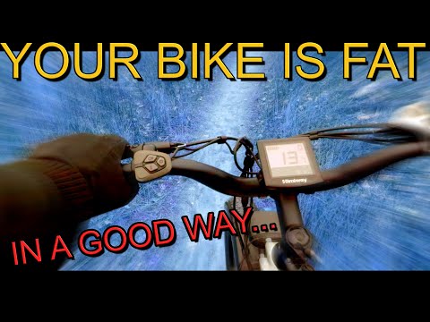 Why Fat Tire Bikes Are Gaining Serious Momentum! (Himiway Step Thru Cruiser Review)
