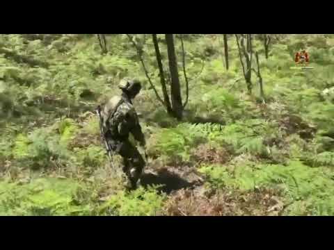 🚨💣 ¡Contundente ofensiva contra el terrorismo en el departamento del Cauca! 🇨🇴🛡️