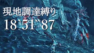 【#MHWilds】歴戦王アルシュベルド 現地調達縛り オトモなし 18’51”87