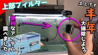 上部フィルター立上げ半年！大掃除してみたら汚れが凄かった...