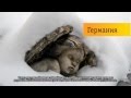 Трубку возьми! 