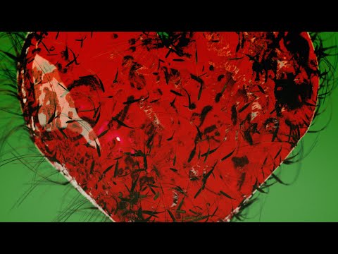 The Breeders - Do You Love Me Now (Official Visualiser)