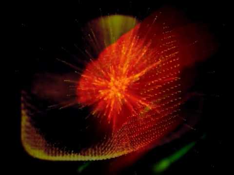 Die Vinylvoyeure - VVVV