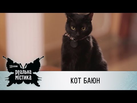 Кот Баюн | Реальная мистика