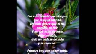 Naranjo en flor - con letras. Enrique Rodriguez