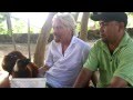 Animals of NECKER ISLAND - YouTube Animals of NECKER ISLAND - YouTube