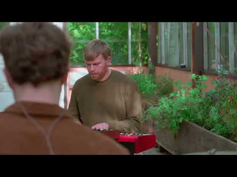 RAPID DREAMING - LIVE SESSION