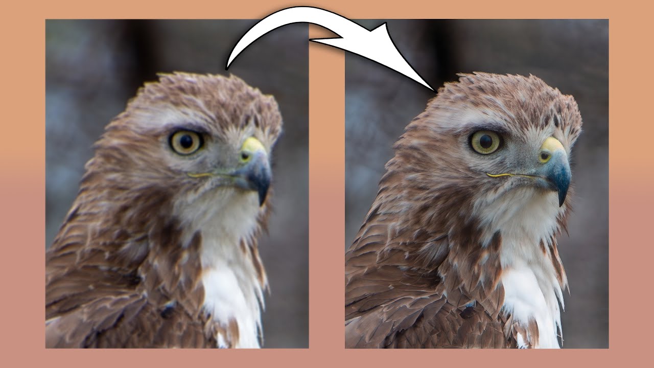 NEW On1 Resize AI 2026 – Getting Better &amp; Better! video thumbnail