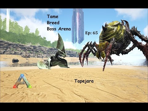 Ark How to Tame, Breed, Boss Arena Gamma Broodmother : Ep 65 : Tapejara
