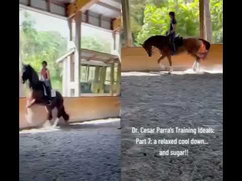 Dr. Cesar Parra behind the scenes “training” video pt.3