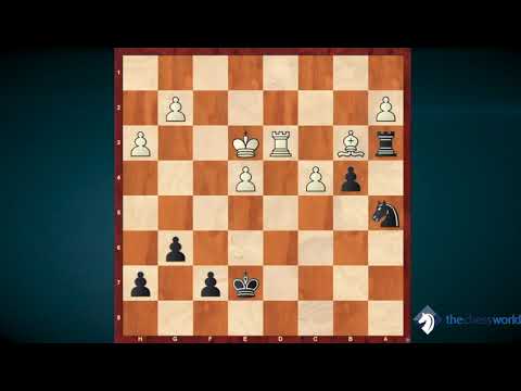 Improve Your Decision Making Mastermind with GM Davorin Kuljasevic - Exclusive Preview