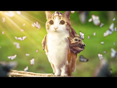 RENGBIRD IS NEW META... | SCRUBNOOB