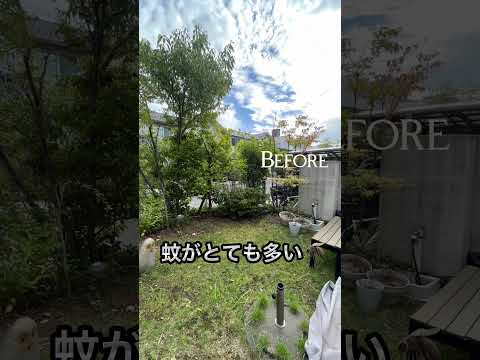 jardin extérieur mini oasis masion