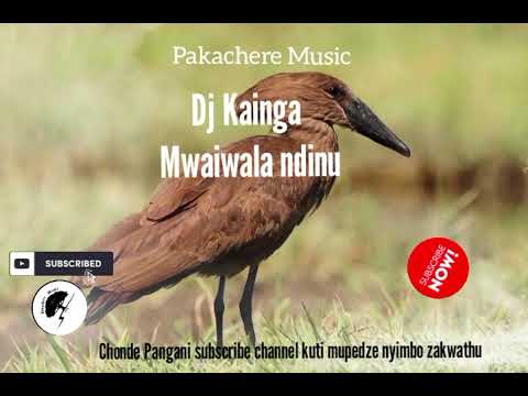 DJ Kainga _ Mwaiwala Ndinu_ Official music 🎶 