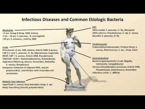 Bacterial Etiologies of Common Infections (Antibiotics - Lecture 2) Video