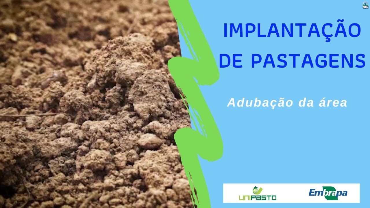 Adubação - Implantação de pastagens | Série Pasto Certo
