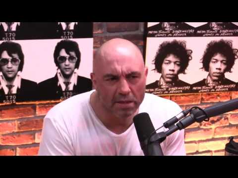 Bret Weinstein Explains the Evergreen "Day of Absence" Controversy - The Joe Rogan Experience