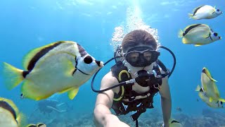 Maxwell dives among sharks, eels, turtles, colorful fish, and lots more in Costa Rica