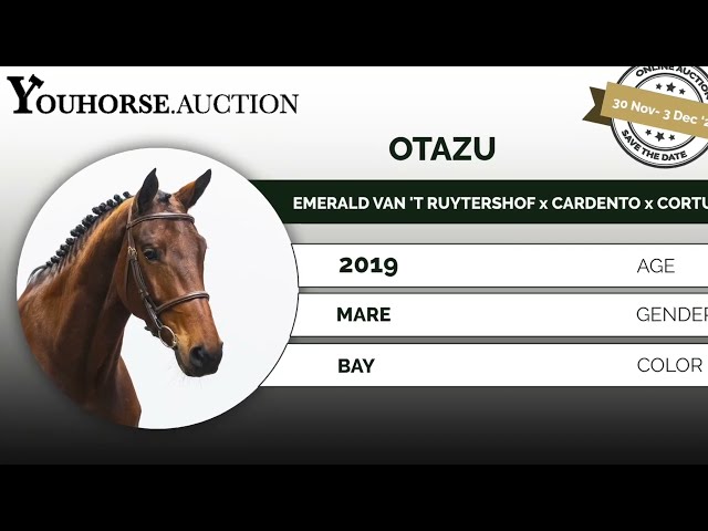 Otazu trainingsvideo