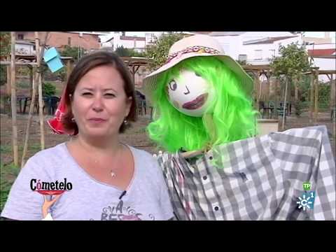 Cómetelo | Delicias de pollo a la secretaria