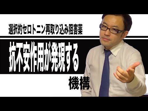 セロトニン・ノルエピネフリン再取り込み阻害剤 - 定義