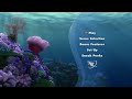 Opening To Finding Nemo 2003 2012 DVD MGM Version